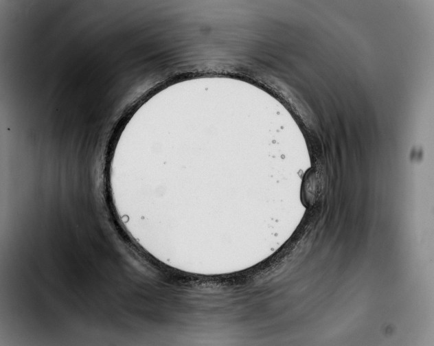 X0000103410677200810241209