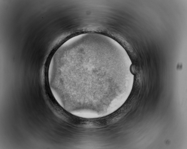 X0000103410678200810241209