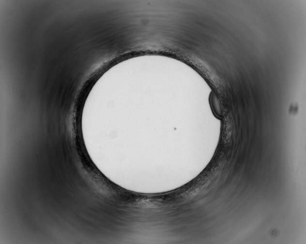 X0000103410680200810241209