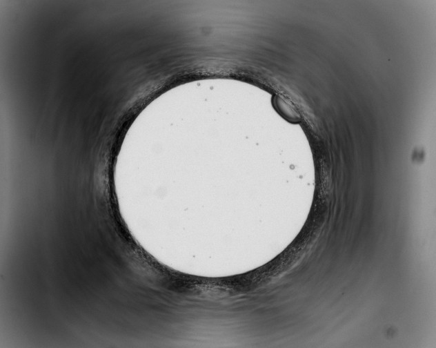 X0000103410681200810241209