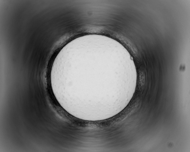 X0000103410682200810241209