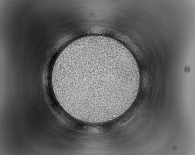 X0000103410683200810241209