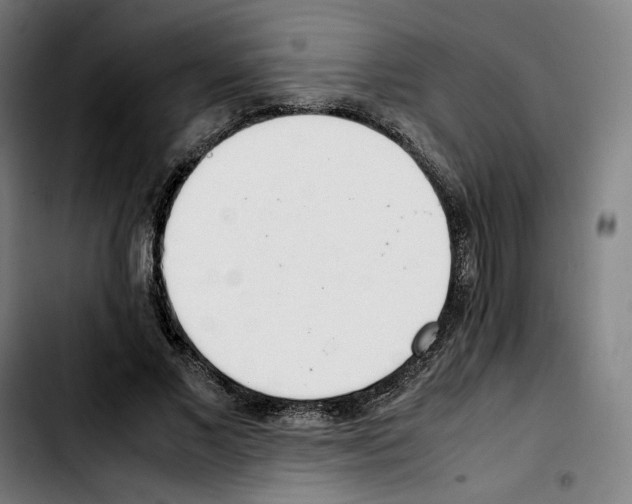 X0000103410685200810241209