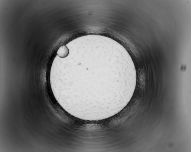 X0000103410686200810241209