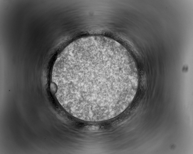 X0000103410687200810241209