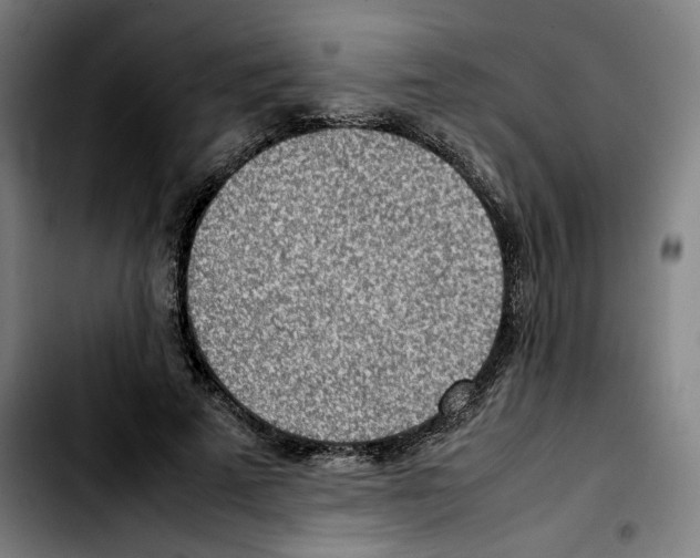 X0000103410689200810241209