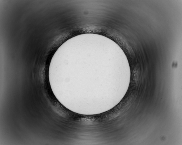 X0000103410690200810241209