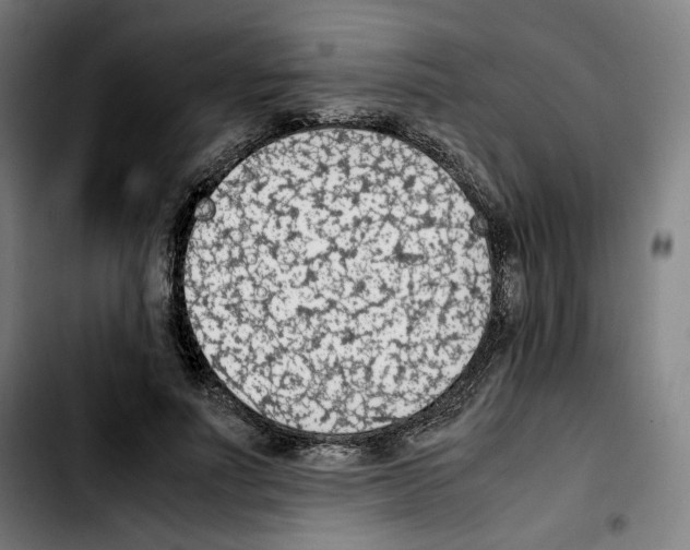 X0000103410691200810241209