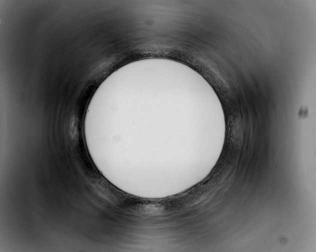 X0000103410692200810241209