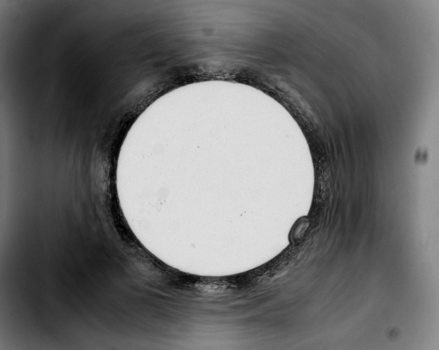 X0000103410693200810241209