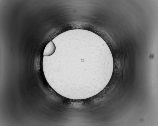 X0000103410694200810241209