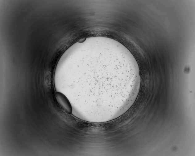 X0000103410696200810241209