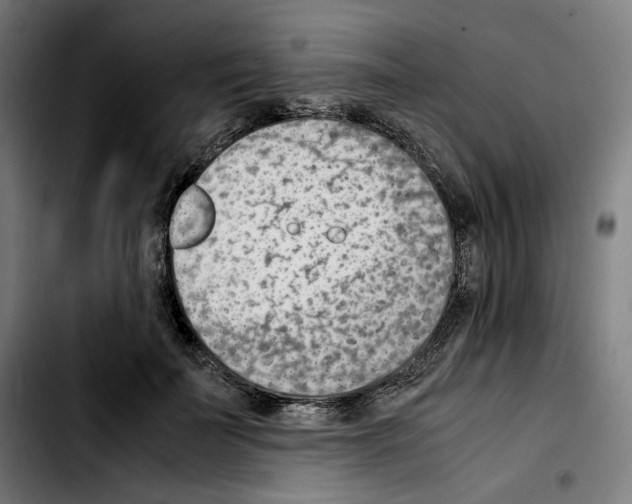 X0000103410699200810241209