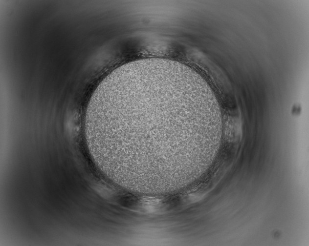 X0000103410701200810241209