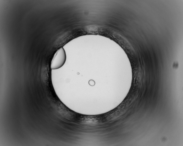 X0000103410702200810241209