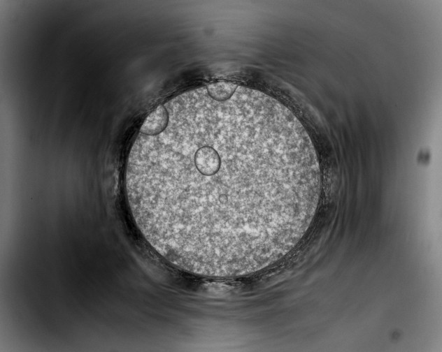 X0000103410703200810241209