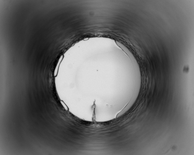 X0000103410704200810241209