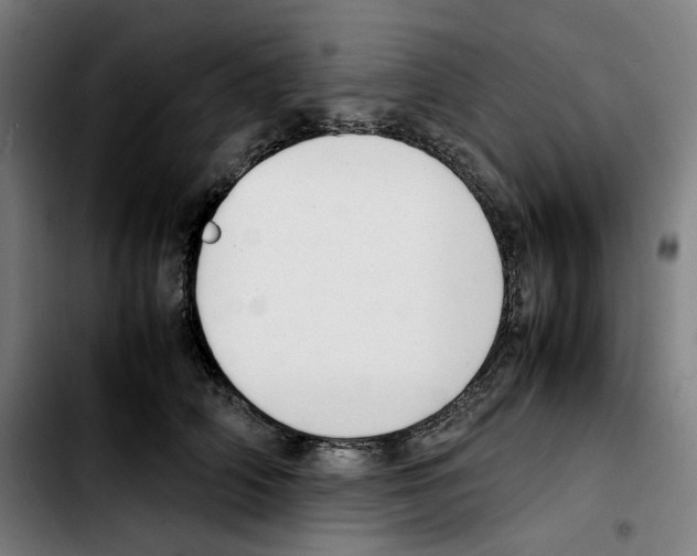 X0000103410706200810241209