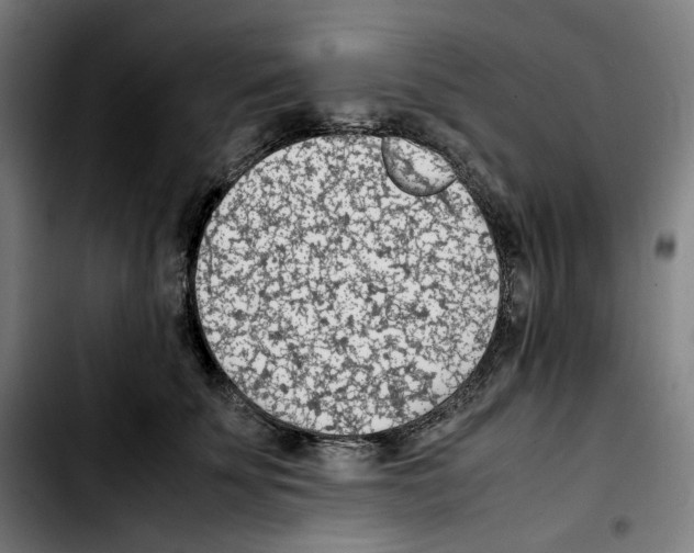 X0000103410707200810241209