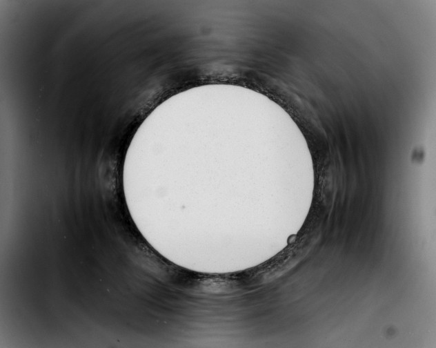 X0000103410708200810241209