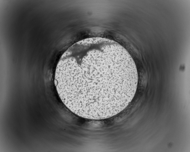 X0000103410711200810241209