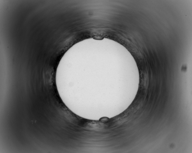 X0000103410712200810241208