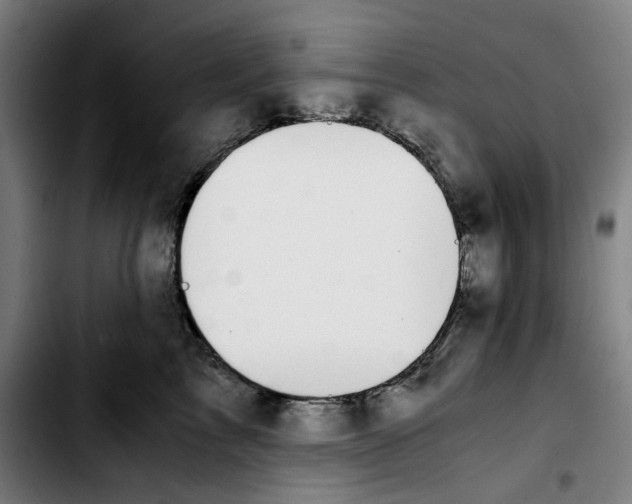 X0000103410713200810241208