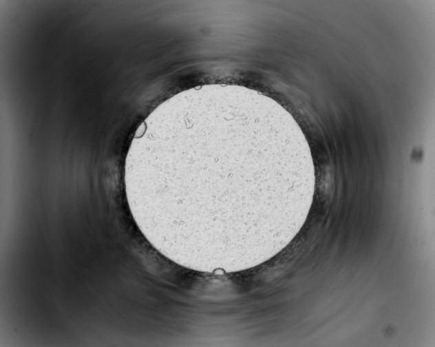 X0000103410715200810241208