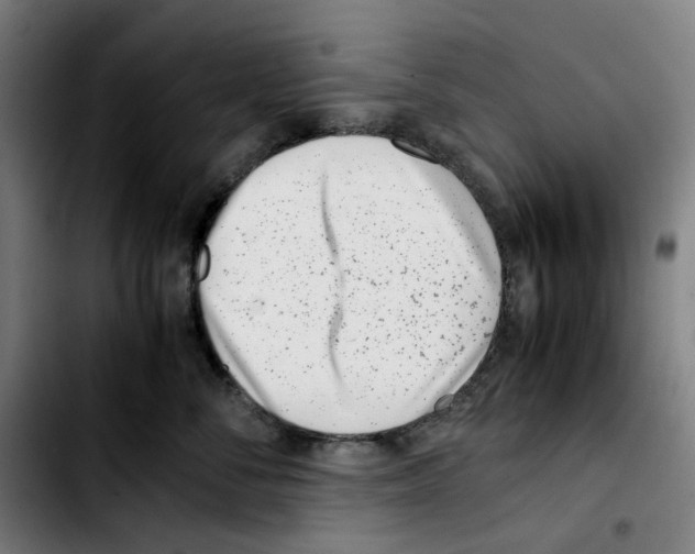 X0000103410716200810241208