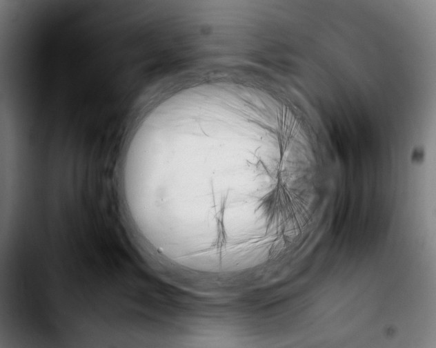 X0000103410717200810241208