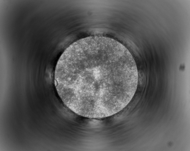 X0000103410718200810241208