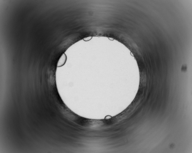 X0000103410719200810241208