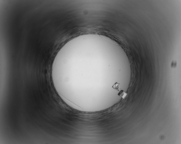 X0000103410720200810241208