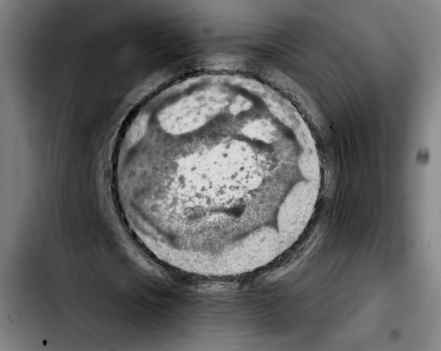 X0000103410721200810241208