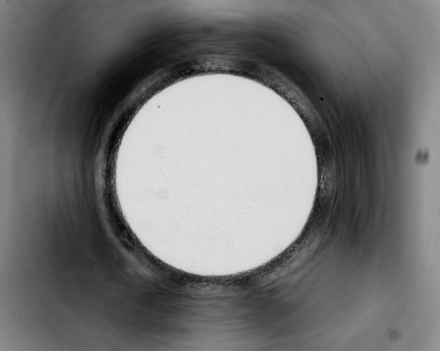 X0000103410722200810241208