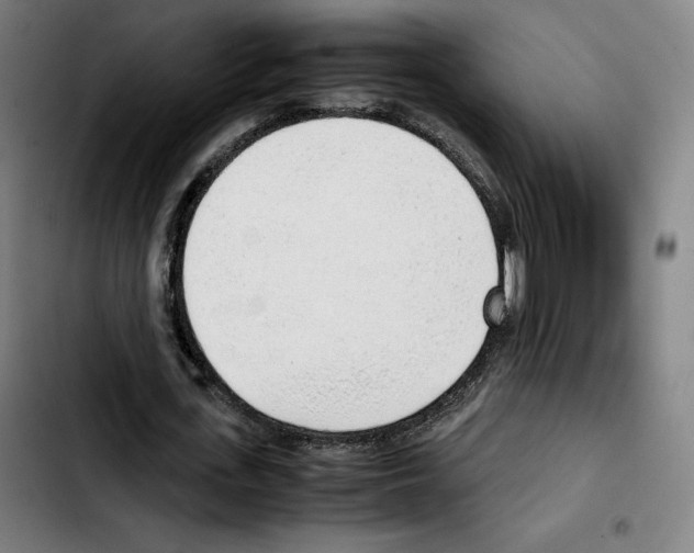 X0000103410723200810241208