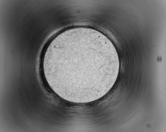 X0000103410724200810241208