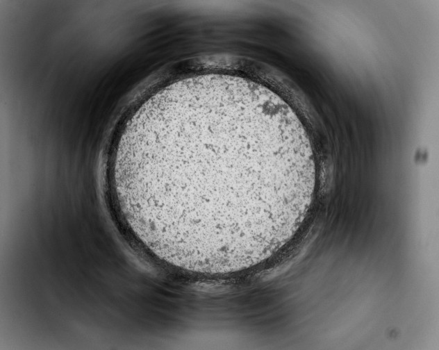 X0000103410725200810241208