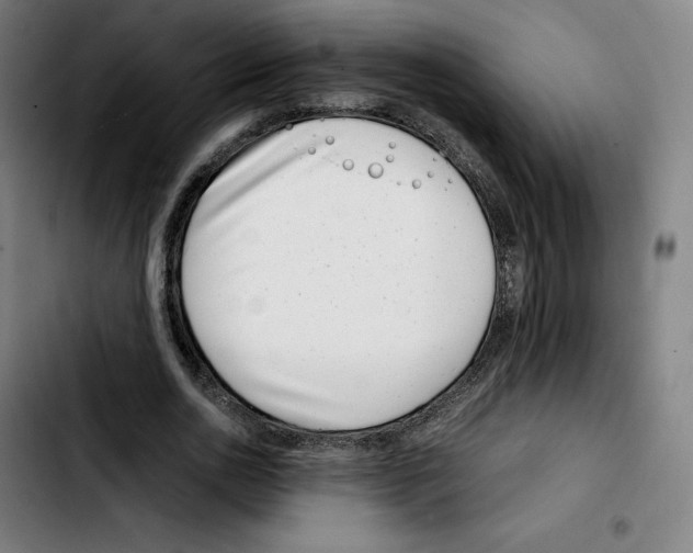 X0000103410726200810241208