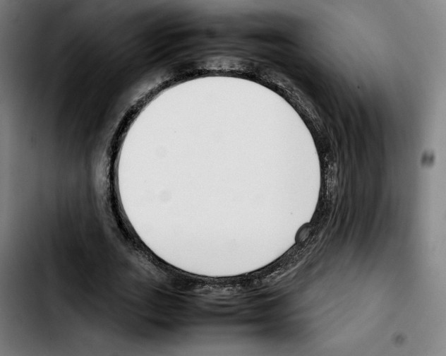 X0000103410727200810241208