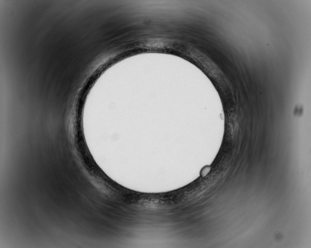 X0000103410728200810241208