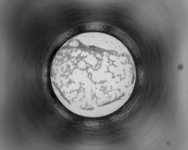 X0000103410729200810241208