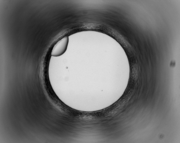 X0000103410730200810241208