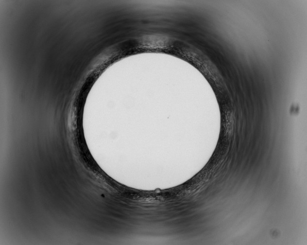 X0000103410731200810241208