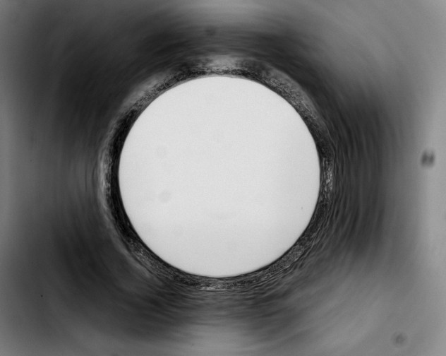 X0000103410732200810241208