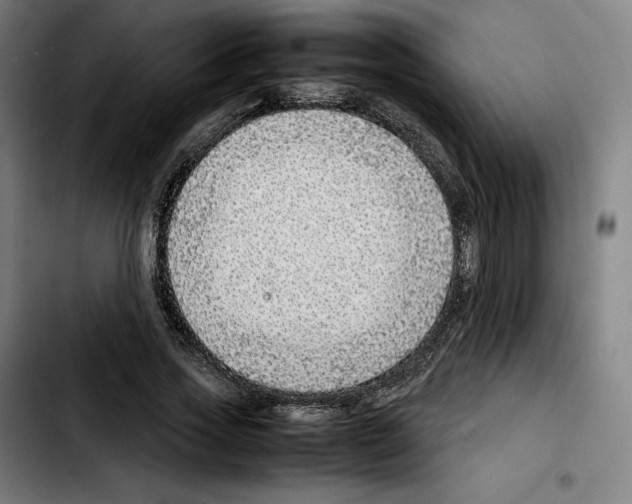 X0000103410733200810241208