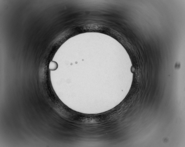 X0000103410735200810241208