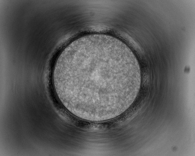 X0000103410736200810241208