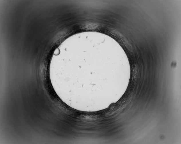 X0000103410739200810241208