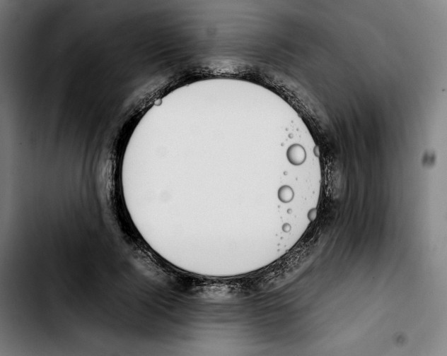 X0000103410740200810241208